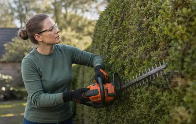 Person schneidet eine dichte Gartenhecke mit Schutzbrille und sicherem Stand; Thema Holzhäcksler, Schwerpunkt Gärten mit kleiner Fläche; Umsetzung.