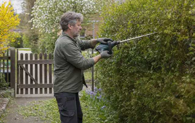 Person schneidet eine Gartenhecke mit einem motorisierten Gartengerät; Thema Holzhäcksler, Schwerpunkt Gartengeräte; Umsetzung.