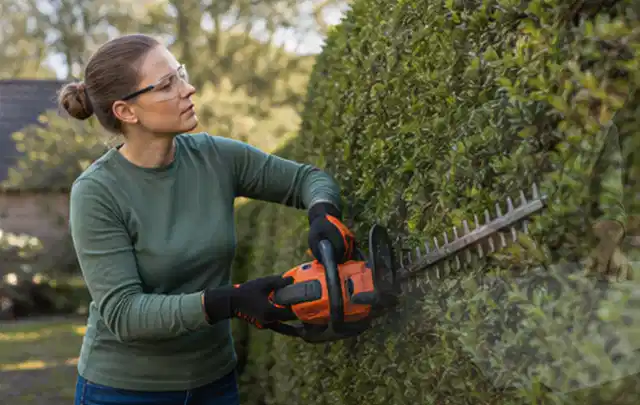 Person schneidet eine dichte Gartenhecke mit Schutzbrille und sicherem Stand; Thema Holzhäcksler, Schwerpunkt Kaufberatung; Ausgangslage.