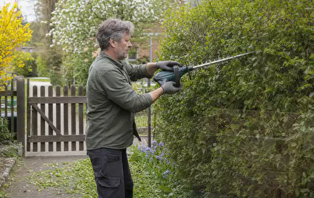 Person schneidet eine Gartenhecke mit einem motorisierten Gartengerät; Thema Holzhäcksler, Schwerpunkt Kaufberatung; Kontrolle.