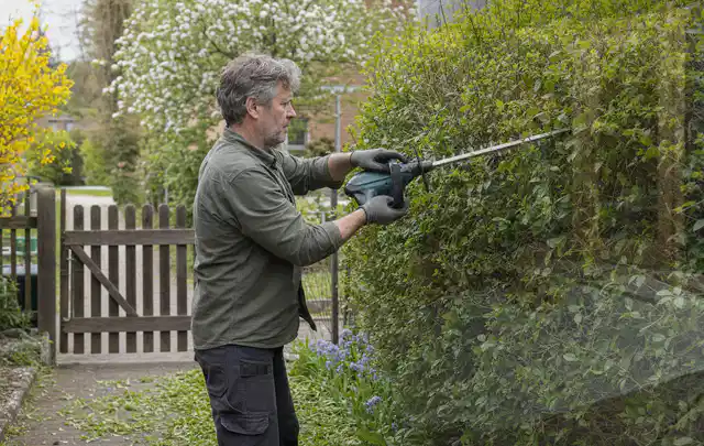Person schneidet eine Gartenhecke mit einem motorisierten Gartengerät; Thema Holzhäcksler, Schwerpunkt Kosten; Ausgangslage.