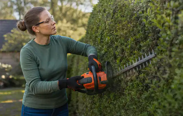 Person schneidet eine dichte Gartenhecke mit Schutzbrille und sicherem Stand; Thema Holzhäcksler, Schwerpunkt Kosten; Praxisalltag.