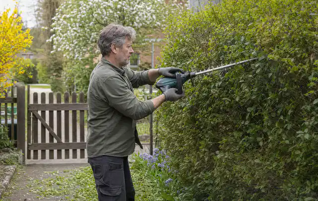 Person schneidet eine Gartenhecke mit einem motorisierten Gartengerät; Thema Holzhäcksler, Schwerpunkt Leistung; Umsetzung.