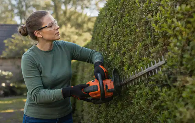 Person schneidet eine dichte Gartenhecke mit Schutzbrille und sicherem Stand; Thema Holzhäcksler, Schwerpunkt Reinigung; Ausgangslage.