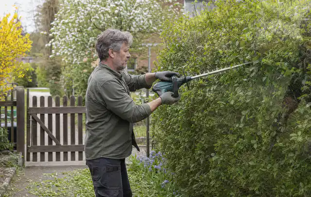 Person schneidet eine Gartenhecke mit einem motorisierten Gartengerät; Thema Holzhäcksler, Schwerpunkt Reparatur; Ergebnis.