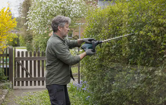Person schneidet eine Gartenhecke mit einem motorisierten Gartengerät; Thema Holzhäcksler, Schwerpunkt Sicherheit; Ausgangslage.