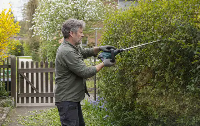 Person schneidet eine Gartenhecke mit einem motorisierten Gartengerät; Thema Holzhäcksler, Schwerpunkt Systemvergleich; Praxisalltag.