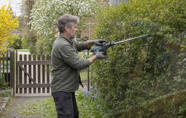 Person schneidet eine Gartenhecke mit einem motorisierten Gartengerät; Thema Holzhäcksler, Schwerpunkt Testkriterien; Kontrolle.
