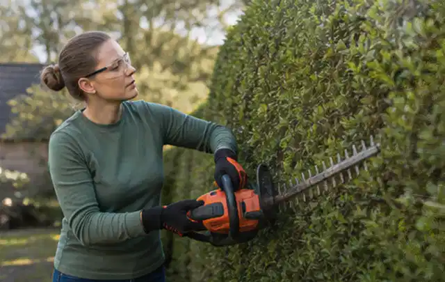 Person schneidet eine dichte Gartenhecke mit Schutzbrille und sicherem Stand; Thema Holzhäcksler, Schwerpunkt Testkriterien; Praxisalltag.