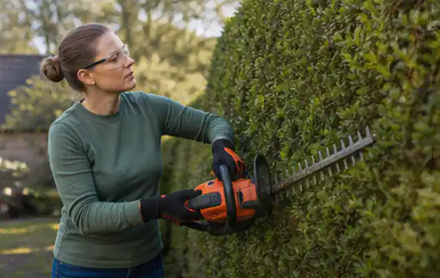 Person schneidet eine dichte Gartenhecke mit Schutzbrille und sicherem Stand; Thema Holzhäcksler, Schwerpunkt Vergleich; Kontrolle.