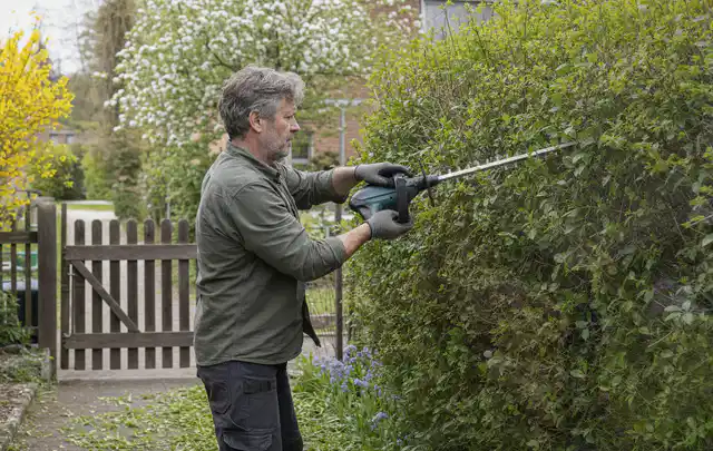 Person schneidet eine Gartenhecke mit einem motorisierten Gartengerät; Thema Holzhäcksler, Schwerpunkt Wartung; Ergebnis.