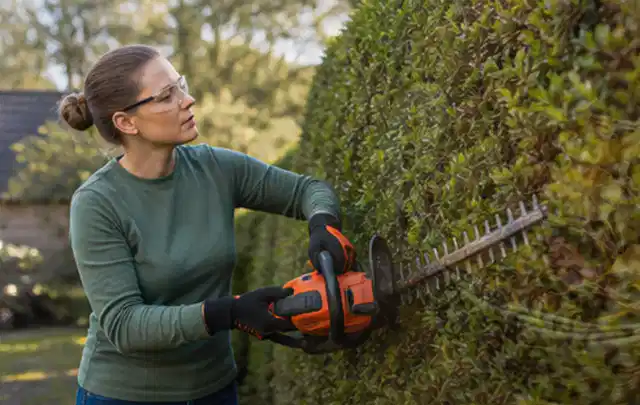 Person schneidet eine dichte Gartenhecke mit Schutzbrille und sicherem Stand; Thema Holzhäcksler, Schwerpunkt Wartung; Praxisalltag.