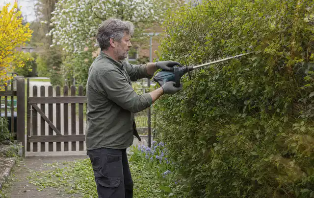 Person schneidet eine Gartenhecke mit einem motorisierten Gartengerät; Thema Holzhäcksler, Schwerpunkt Winterlager; Kontrolle.