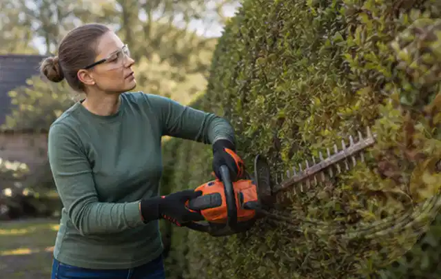 Person schneidet eine dichte Gartenhecke mit Schutzbrille und sicherem Stand; Thema Holzhäcksler, Schwerpunkt Winterlager; Ergebnis.