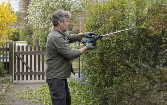 Person schneidet eine Gartenhecke mit einem motorisierten Gartengerät; Thema Holzspalter, Schwerpunkt Anwendung; Umsetzung.