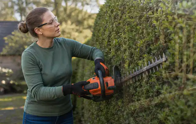 Person schneidet eine dichte Gartenhecke mit Schutzbrille und sicherem Stand; Thema Holzspalter, Schwerpunkt Anwendung; Ergebnis.