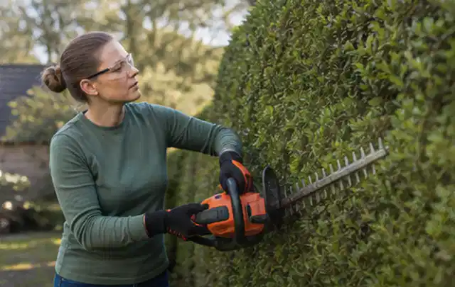 Person schneidet eine dichte Gartenhecke mit Schutzbrille und sicherem Stand; Thema Holzspalter, Schwerpunkt Bestenliste; Ergebnis.
