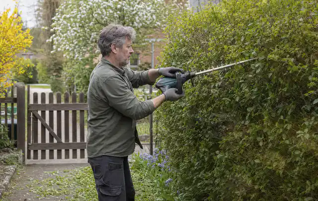 Person schneidet eine Gartenhecke mit einem motorisierten Gartengerät; Thema Holzspalter, Schwerpunkt Checkliste; Ausgangslage.
