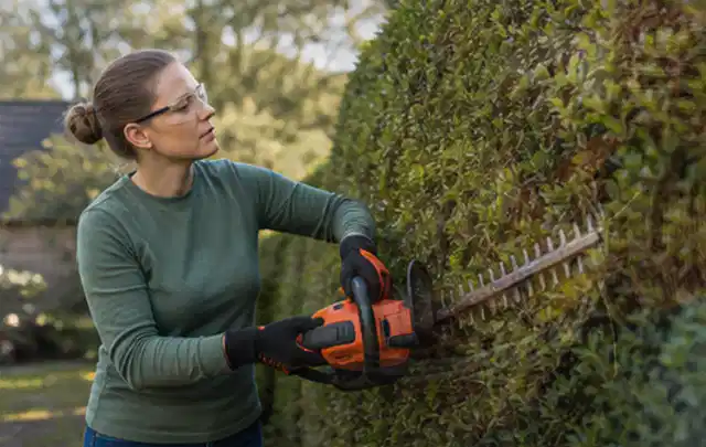 Person schneidet eine dichte Gartenhecke mit Schutzbrille und sicherem Stand; Thema Holzspalter, Schwerpunkt Checkliste; Ergebnis.