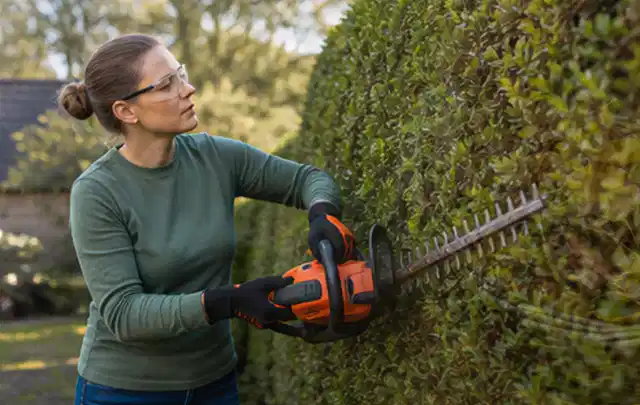 Person schneidet eine dichte Gartenhecke mit Schutzbrille und sicherem Stand; Thema Holzspalter, Schwerpunkt Dimensionierung; Ergebnis.