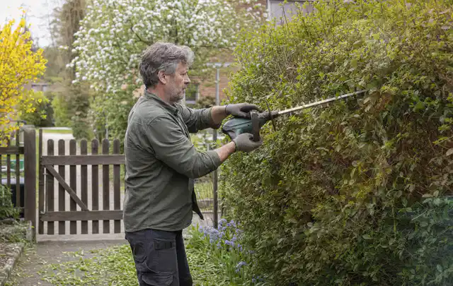 Person schneidet eine Gartenhecke mit einem motorisierten Gartengerät; Thema Holzspalter, Schwerpunkt Ersatzteile; Ausgangslage.
