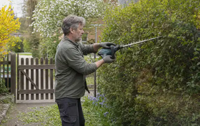 Person schneidet eine Gartenhecke mit einem motorisierten Gartengerät; Thema Holzspalter, Schwerpunkt Fehlerhilfe; Praxisalltag.