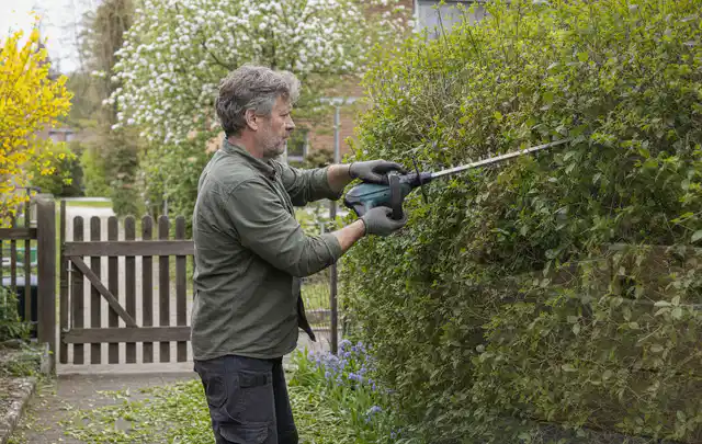 Person schneidet eine Gartenhecke mit einem motorisierten Gartengerät; Thema Holzspalter, Schwerpunkt Gärten mit großer Fläche; Ausgangslage.