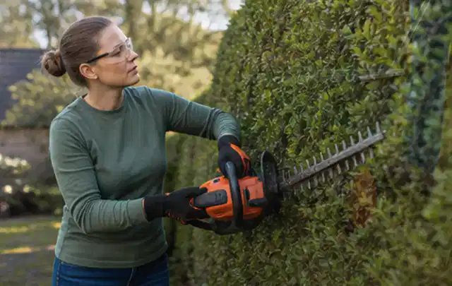Person schneidet eine dichte Gartenhecke mit Schutzbrille und sicherem Stand; Thema Holzspalter, Schwerpunkt Gärten mit kleiner Fläche; Umsetzung.