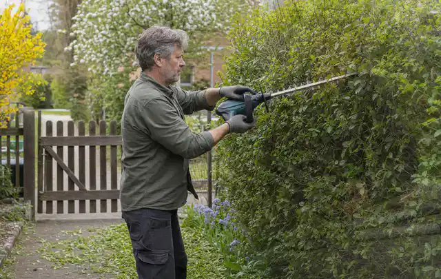 Person schneidet eine Gartenhecke mit einem motorisierten Gartengerät; Thema Holzspalter, Schwerpunkt Gartengeräte; Ergebnis.