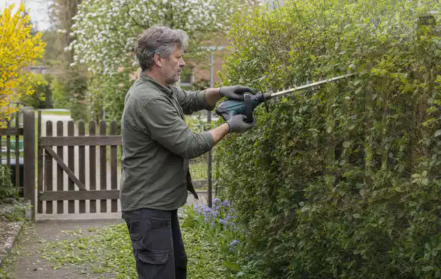 Person schneidet eine Gartenhecke mit einem motorisierten Gartengerät; Thema Holzspalter, Schwerpunkt Kaufberatung; Kontrolle.