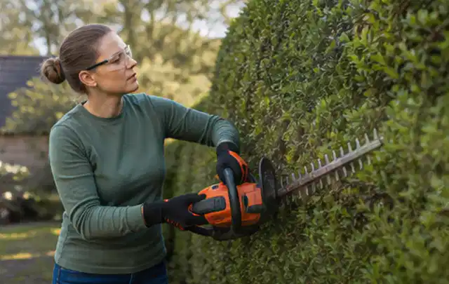 Person schneidet eine dichte Gartenhecke mit Schutzbrille und sicherem Stand; Thema Holzspalter, Schwerpunkt Kosten; Kontrolle.