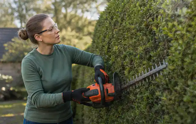 Person schneidet eine dichte Gartenhecke mit Schutzbrille und sicherem Stand; Thema Holzspalter, Schwerpunkt Leistung; Ausgangslage.