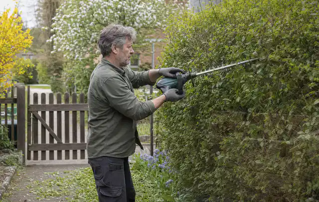 Person schneidet eine Gartenhecke mit einem motorisierten Gartengerät; Thema Holzspalter, Schwerpunkt Reparatur; Ergebnis.