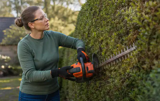 Person schneidet eine dichte Gartenhecke mit Schutzbrille und sicherem Stand; Thema Holzspalter, Schwerpunkt Reparatur; Praxisalltag.