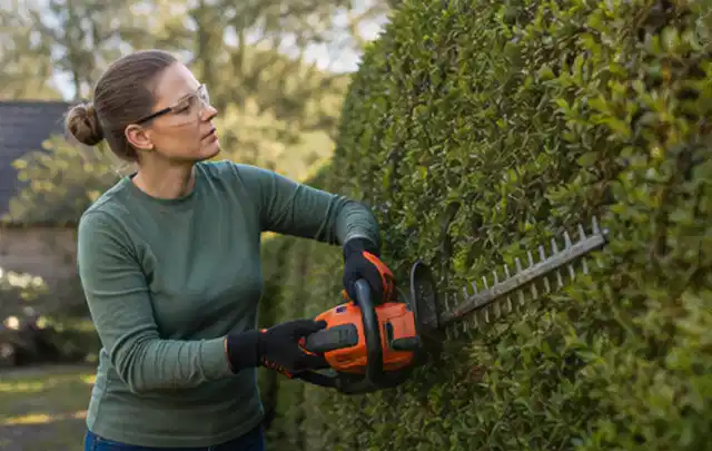 Person schneidet eine dichte Gartenhecke mit Schutzbrille und sicherem Stand; Thema Holzspalter, Schwerpunkt Sicherheit; Kontrolle.