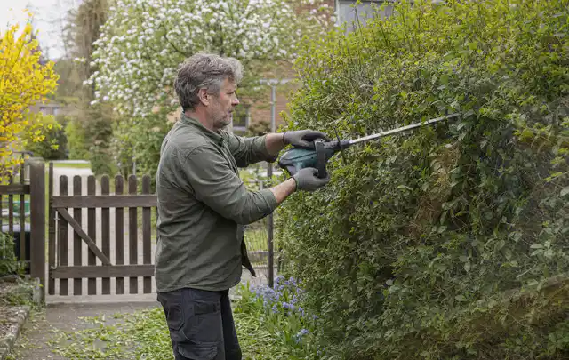 Person schneidet eine Gartenhecke mit einem motorisierten Gartengerät; Thema Holzspalter, Schwerpunkt Systemvergleich; Ergebnis.