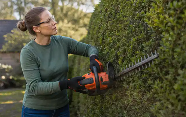 Person schneidet eine dichte Gartenhecke mit Schutzbrille und sicherem Stand; Thema Holzspalter, Schwerpunkt Testkriterien; Kontrolle.