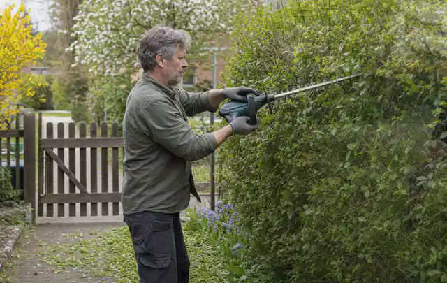 Person schneidet eine Gartenhecke mit einem motorisierten Gartengerät; Thema Holzspalter, Schwerpunkt Vergleich; Ausgangslage.