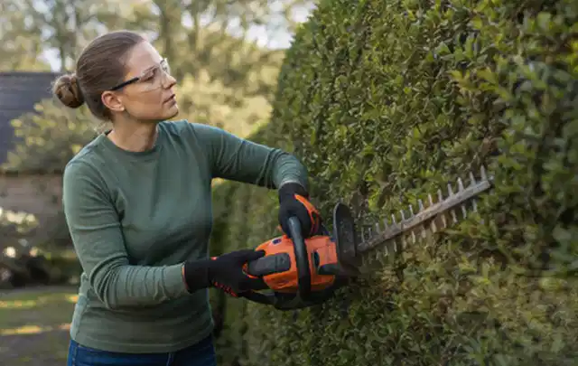 Person schneidet eine dichte Gartenhecke mit Schutzbrille und sicherem Stand; Thema Holzspalter, Schwerpunkt Vergleich; Umsetzung.