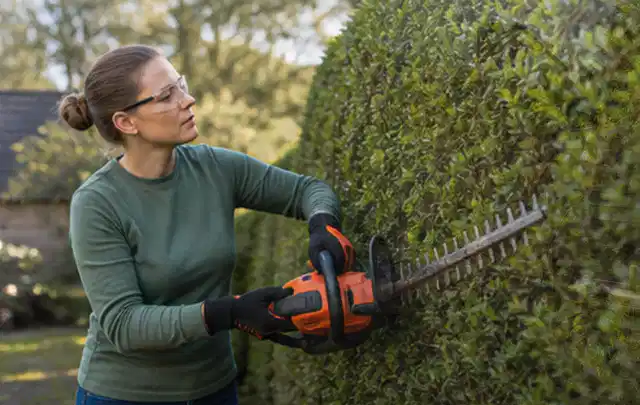 Person schneidet eine dichte Gartenhecke mit Schutzbrille und sicherem Stand; Thema Holzspalter, Schwerpunkt Winterlager; Ausgangslage.