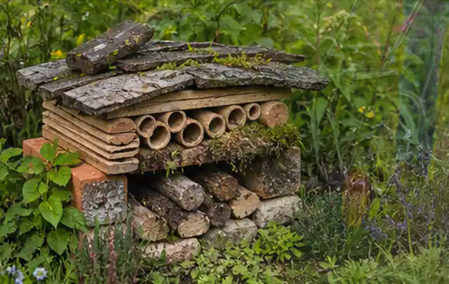 Naturnaher Unterschlupf aus Holz Rinde und Pflanzenstängeln im Garten; Thema Hornissen, Schwerpunkt Schadbild; Kontrolle.