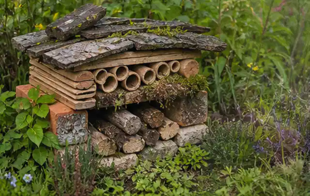 Naturnaher Unterschlupf aus Holz Rinde und Pflanzenstängeln im Garten; Thema Hornissen, Schwerpunkt Ursachen; Umsetzung.