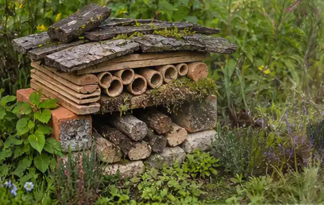 Naturnaher Unterschlupf aus Holz Rinde und Pflanzenstängeln im Garten; Thema Hornissen, Schwerpunkt Vorbeugung; Umsetzung.