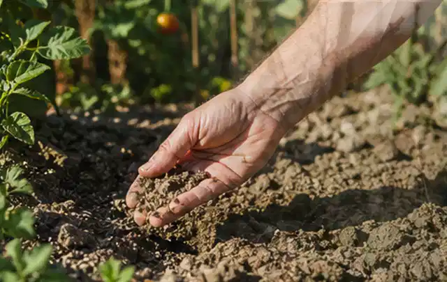 Hand prüft trockene krümelige Gartenerde während einer warmen Sommerphase; Thema Hunter Bewässerung, Schwerpunkt Nachhaltigkeit; Ausgangslage.