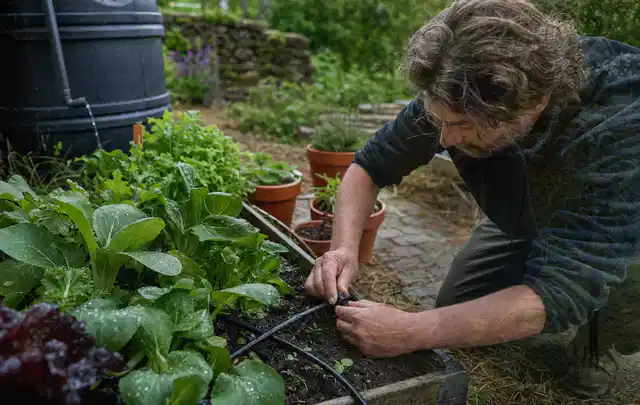 Person stellt die Bewässerung an einem bepflanzten Hochbeet ein; Thema Hunter Bewässerung, Schwerpunkt Vergleich; Umsetzung.