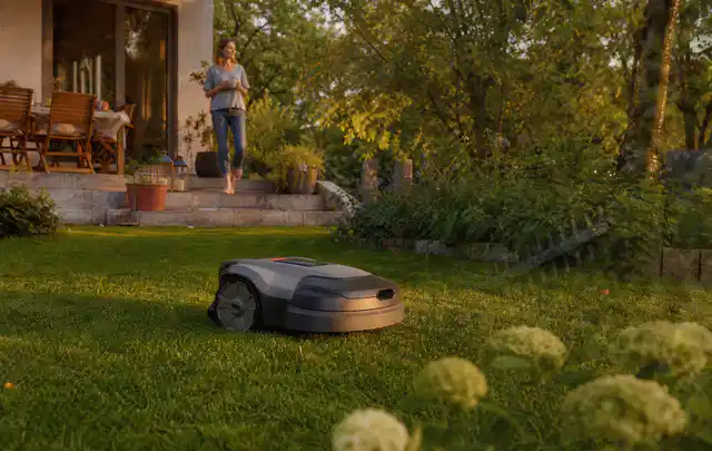 Mähroboter fährt am Abend über einen Rasen im Familiengarten; Thema Husqvarna Automower, Schwerpunkt Dimensionierung; Ausgangslage.