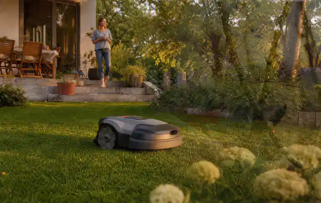 Mähroboter fährt am Abend über einen Rasen im Familiengarten; Thema Husqvarna Automower, Schwerpunkt Gärten mit großer Fläche; Kontrolle.