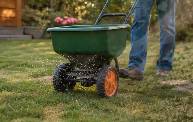Person verteilt Rasensamen mit einem Streuwagen auf einer lückigen Fläche; Thema Husqvarna Automower, Schwerpunkt Kaufberatung; Umsetzung.