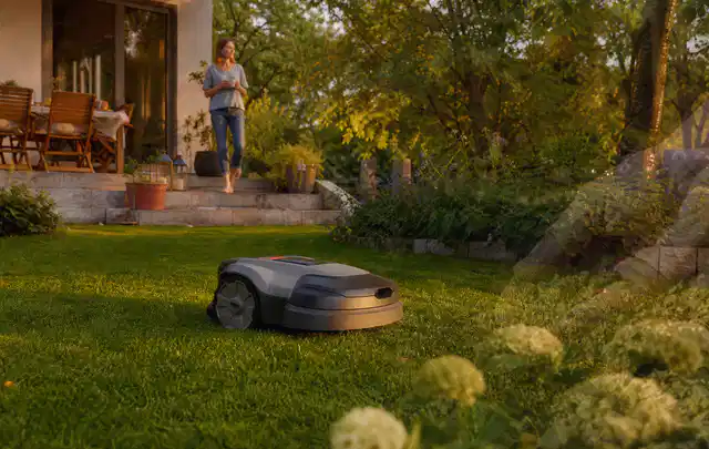 Mähroboter fährt am Abend über einen Rasen im Familiengarten; Thema Husqvarna Automower, Schwerpunkt Kosten; Ergebnis.
