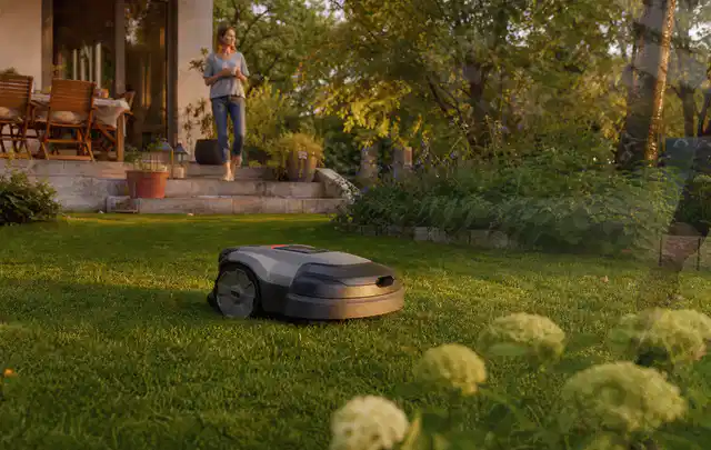 Mähroboter fährt am Abend über einen Rasen im Familiengarten; Thema Husqvarna Automower, Schwerpunkt Mähroboter; Ergebnis.